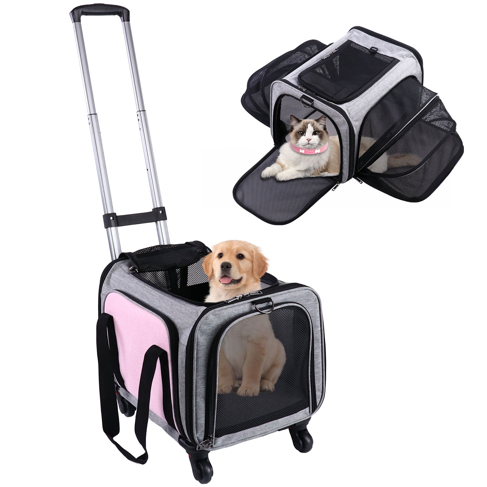 BEBANG Rolling Pet Carrier with Wheels Foldable Airline Approved Dog BNISE