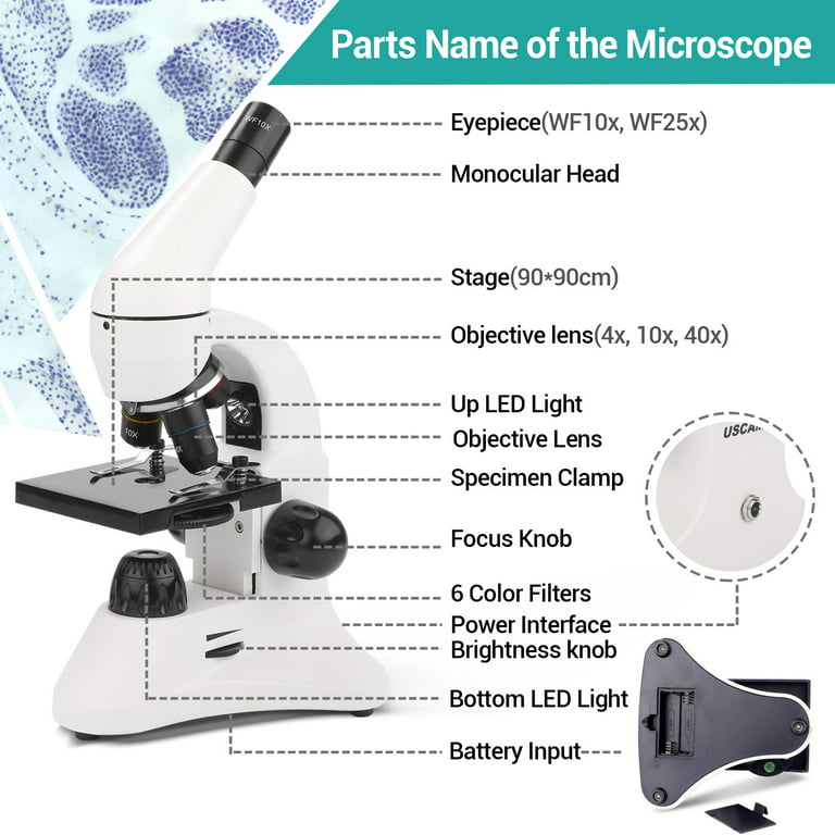 LAKWAR Microscope,40X-2000X Compound Microscopes with Slides,Phone Adapter Science Microscope for Kid,Students Students School Laboratory Education