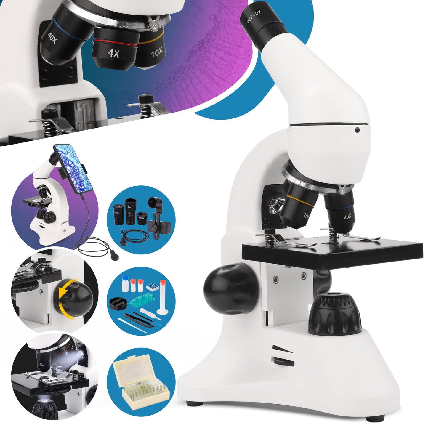 LAKWAR Microscope,40X-2000X Compound Microscopes with Slides,Phone Adapter Science Microscope for Kid,Students Students School Laboratory Education