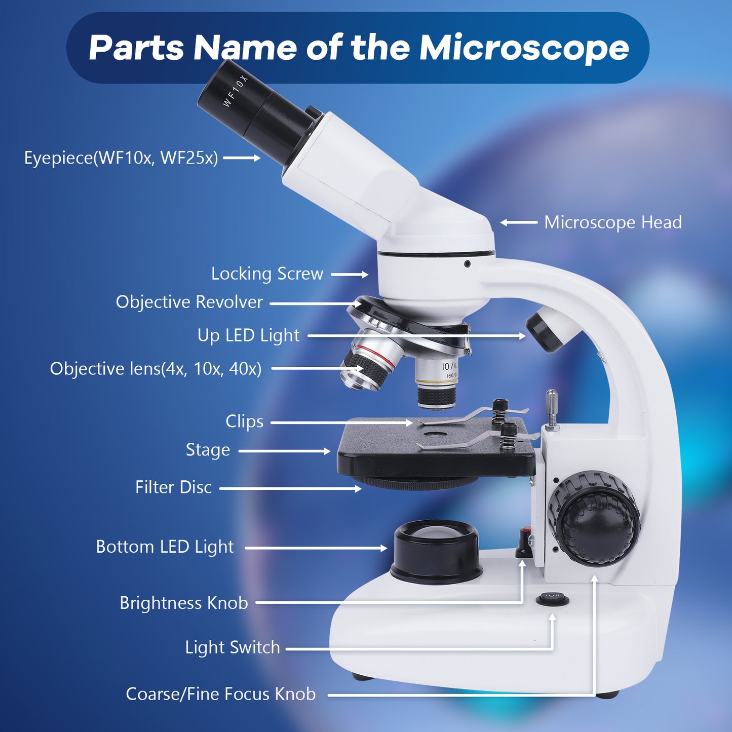 Compound Binocular Microscope, 40X-1000X Dual LED Illumination, with 10X and 25X Eyepiece and Phone Adapter