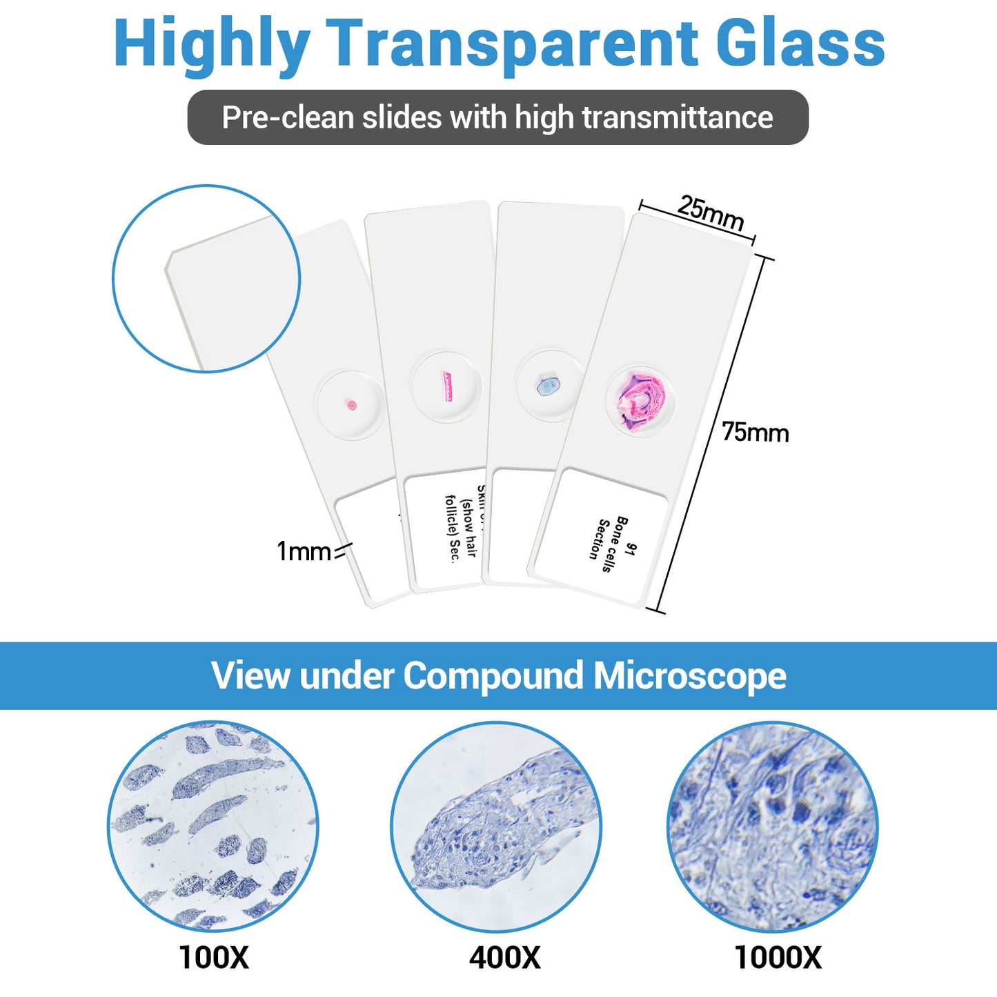 BNISE 100 Microscope Slides with Plant, Insect and Mammalian Specimens for Scientific Research and Observation by Students, Children