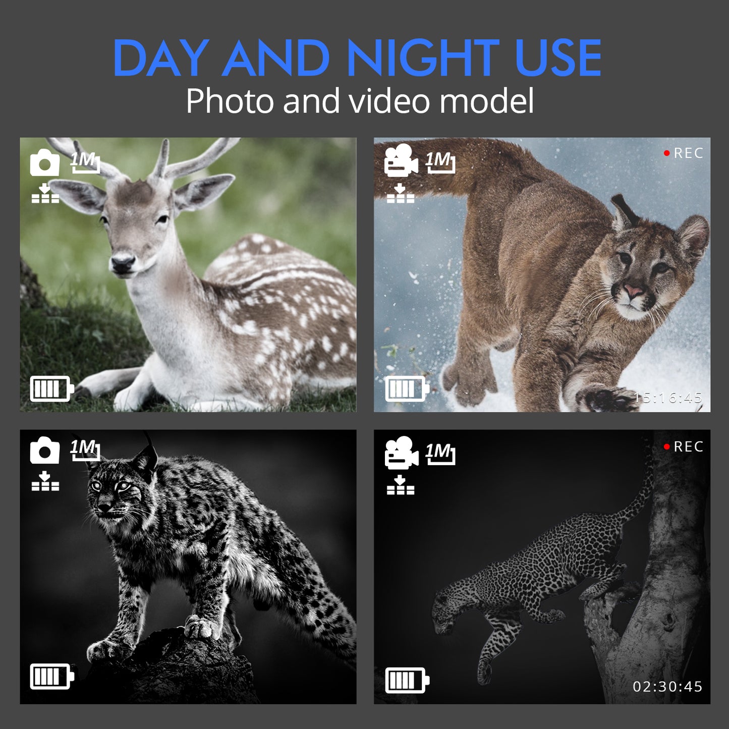 BNISE Digital Night Vision Binoculars