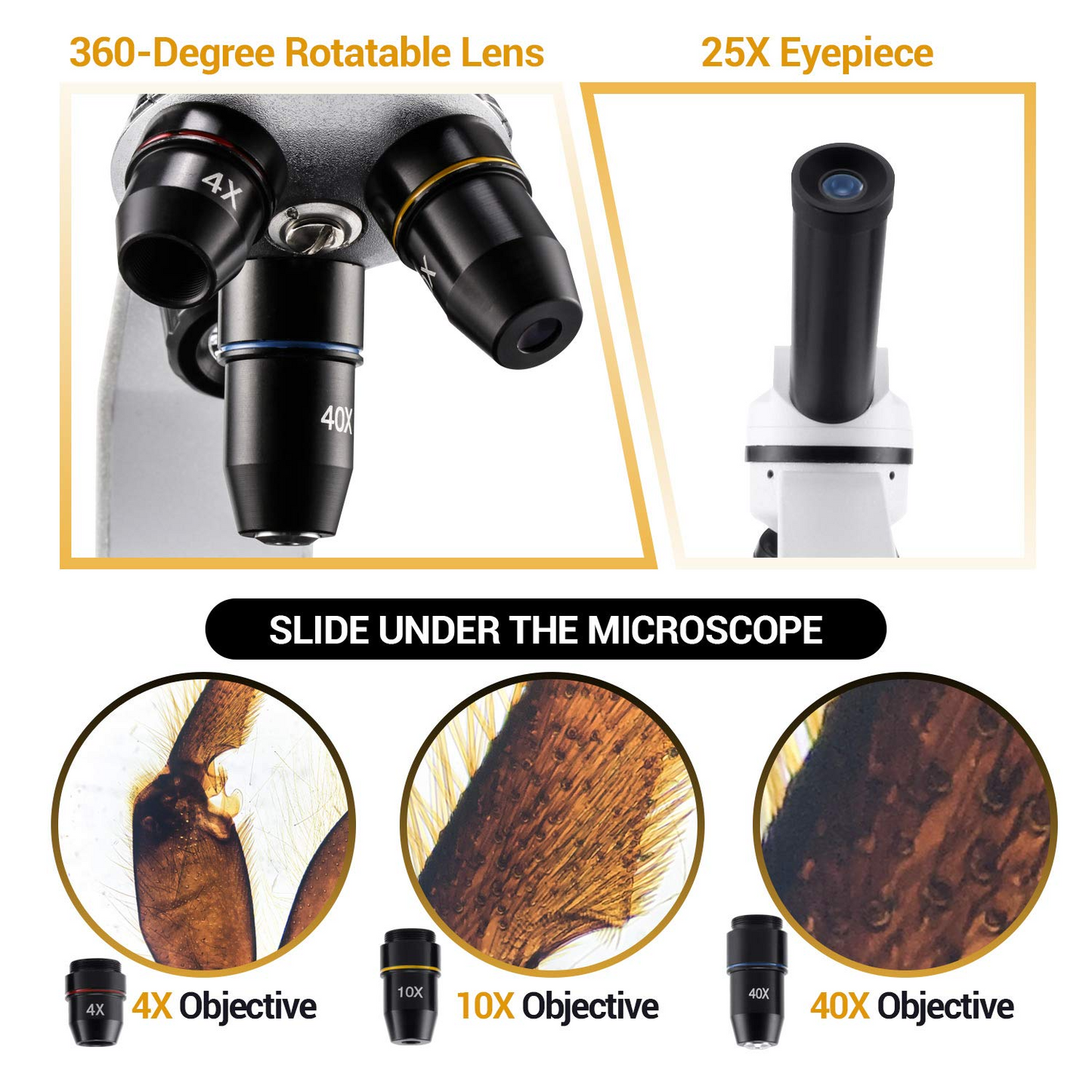 BNISE Microscope for Adults and Kids, 100X-1000X Magnification Lab Compound Monocular Microscopes with Illumination Dual LED, Biological Microscope with Microscope Accessories Set for Beginners