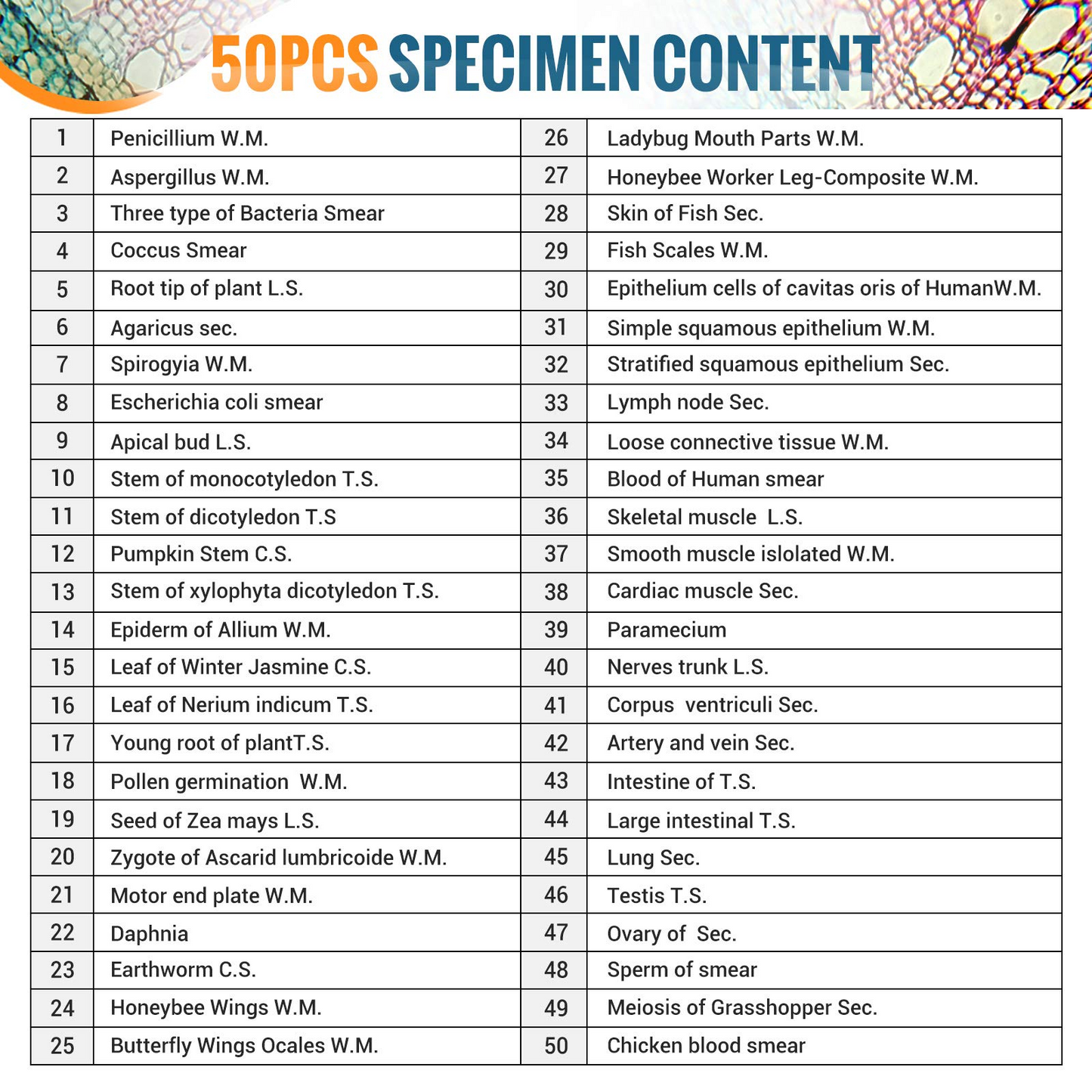 50PCS Microscope Slides Prepared Lab Specimens Biological Sample with Insects Plants Animals Bacteria Education Science