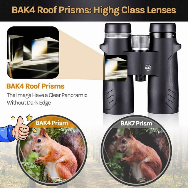 10x42 ED Low Dispersion Binoculars for Adults with FMC BAK4 Roof Prism Waterproof Fogproof Binocular for Bird Watching, Hiking, Hunting, Concerts,Opera,Sports- with Phone Mount