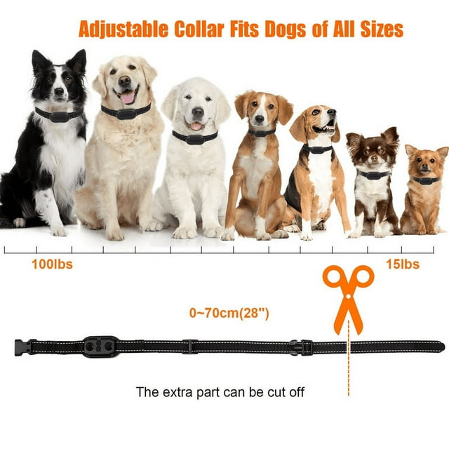 Dog Shock Collar for 2 Dogs, Dog Training Collar with Remote for Large Medium Small Dogs, Rechargeable E-Collar Waterproof Collars with 3 Training Modes