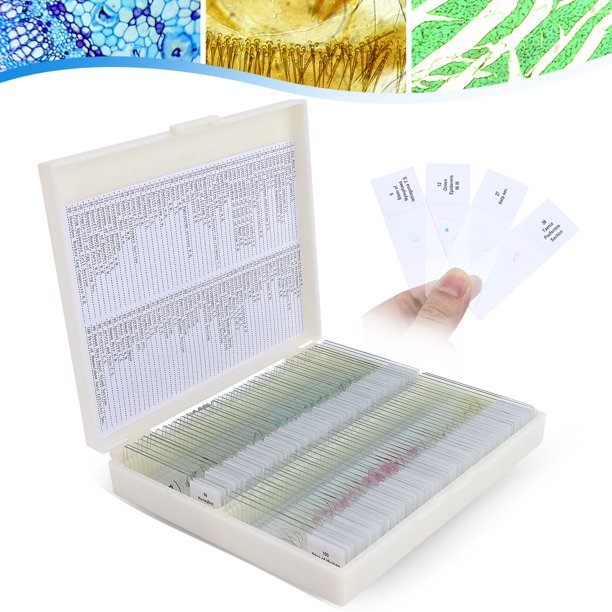 BNISE 100 Microscope Slides with Plant, Insect and Mammalian Specimens for Scientific Research and Observation by Students, Children, Hobbyists