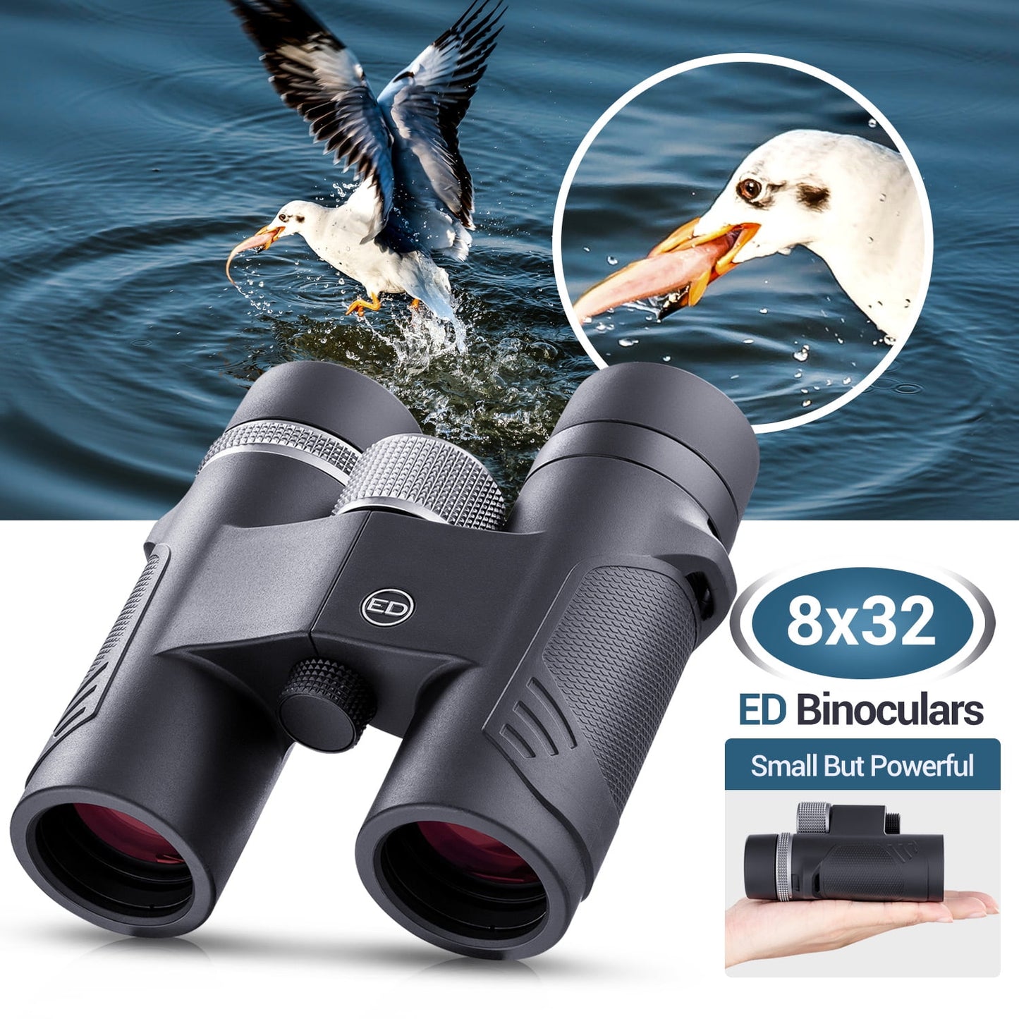 BNISE 8X32mm HD Binoculars with ED Glass -ED Binoculars for Adult and Kids- Black (B-1126)