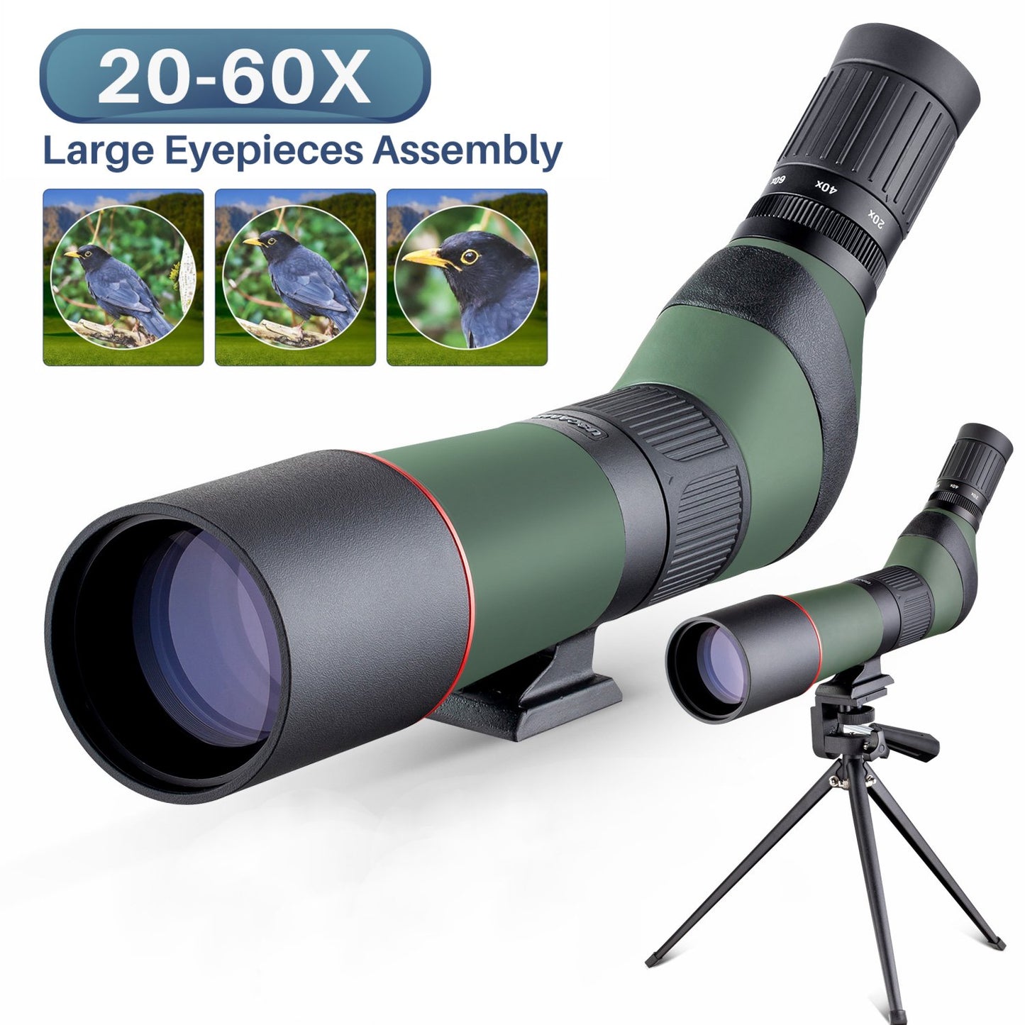 Spotting Scopes with Tripod，BNISE 20-60x Spotting Scope for Target Shooting Hunting Bird Watching with Phone Adapter