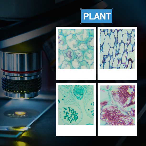 BNISE 100 Microscope Slides with Plant, Insect and Mammalian Specimens for Scientific Research and Observation by Students, Children, Hobbyists