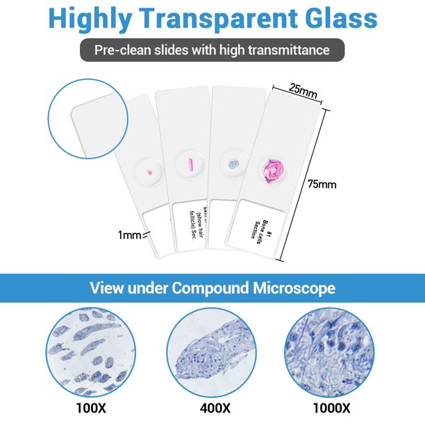 BNISE 100 Microscope Slides with Plant, Insect and Mammalian Specimens for Scientific Research and Observation by Students, Children, Hobbyists